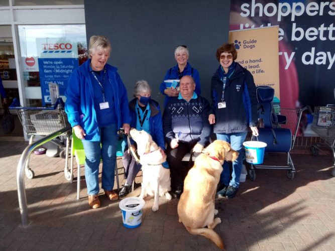 how long do guide dogs train for