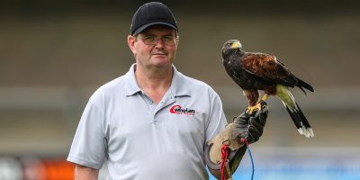 Amber the goshawk and her owner used to keep the Seagulls away during the pre-season friendly match between Torquay United and Exeter City on Saturday 27 July 2019 at Plainmoor, Torquay, Devon - PHOTO: Phil Mingo/PPAUK